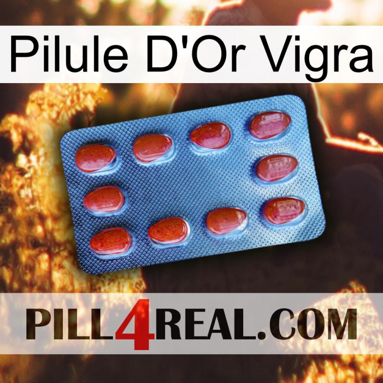 Vigra Gold Pill 06